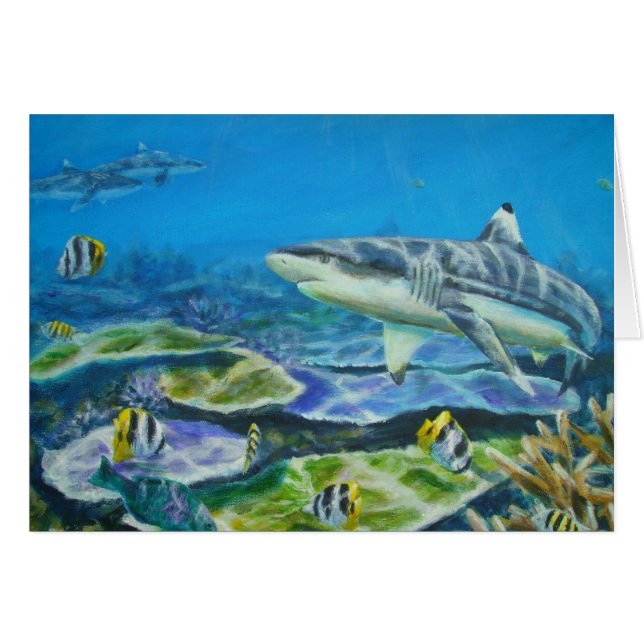 鮫タヒチ (正面横)