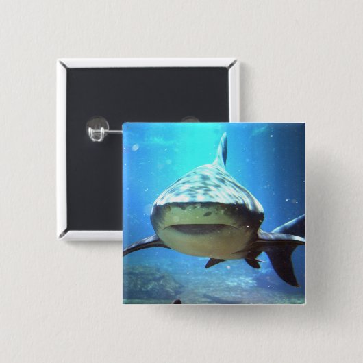鮫正方形Pin 缶バッジ (正面&裏面)