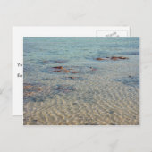 鮫湾のStromatolites ポストカード (正面/裏面)