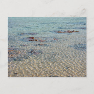 鮫湾のStromatolites ポストカード