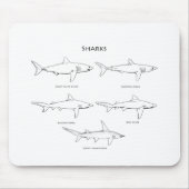 鮫種のロゴ マウスパッド (正面)