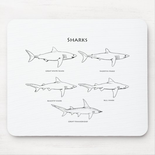 鮫種のロゴ マウスパッド (正面)