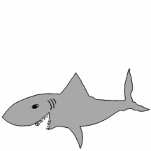 鮫!