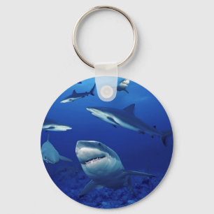 鮫Keychain キーホルダー