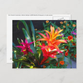 鮮やかさ ポストカード (正面/裏面)