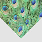 鮮やかでエキゾチックな孔雀の羽 薄葉紙 (詳細)