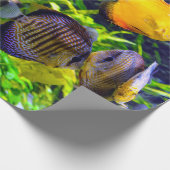 鮮やかでカラフルな水生熱帯海魚 ラッピングペーパー (角)