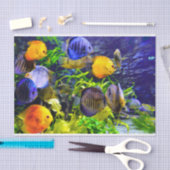 鮮やかでカラフルな水生熱帯海魚 薄葉紙 (クラフト)