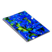 鮮やかで青いブーゲンビリアの花 ノートブック (右側)