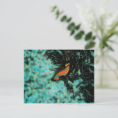 鮮やかなオレンジと青のベータ魚 ポストカード (スタンド正面)