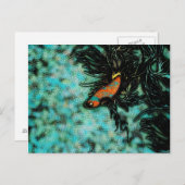 鮮やかなオレンジと青のベータ魚 ポストカード (正面/裏面)