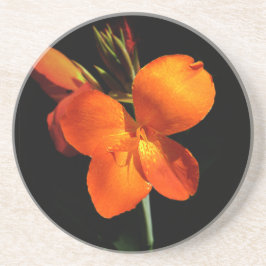 鮮やかなオレンジの蘭の砂岩コースター コースター