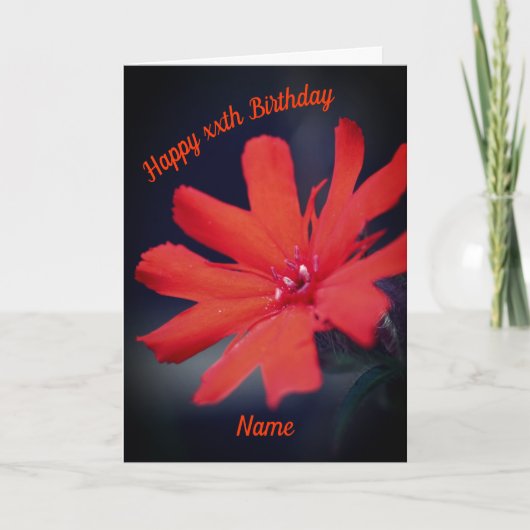 鮮やかなオレンジ色のデイジーフラワーパーソナライズされた誕生日 カード (正面)