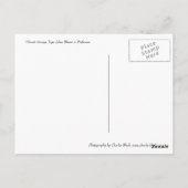 鮮やかなオレンジ色のトラノオシ ポストカード (裏面)