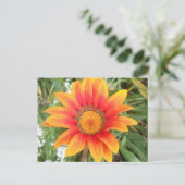 鮮やかなオレンジ色の単一の花 ポストカード (スタンド正面)