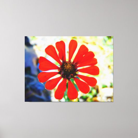 鮮やかなオレンジ色の花の開花 キャンバスプリント (正面)