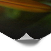 鮮やかなオレンジ ポスター (角)