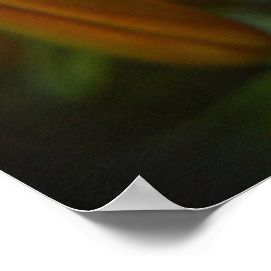 鮮やかなオレンジ ポスター (角)