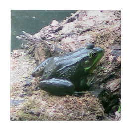 鮮やかなグリーンカエル装飾タイル タイル