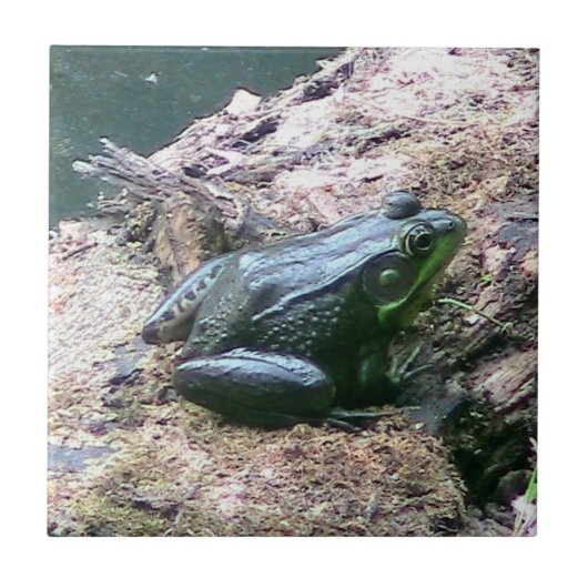 鮮やかなグリーンカエル装飾タイル タイル (正面)