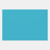 鮮やかなターコイズ、ブラウン&クリームプレイド ラッピングペーパーシート (正面2)