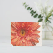 鮮やかなデイジー ポストカード (スタンド正面)