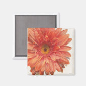 鮮やかなデイジー マグネット (正面/裏面)