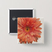 鮮やかなデイジー 缶バッジ (正面&裏面)