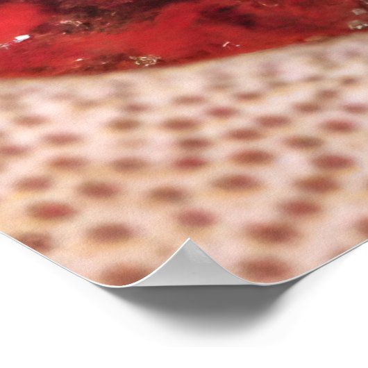 鮮やかなヌディ ポスター (角)