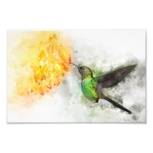 鮮やかなハチドリと黄色い花の水彩画 フォトプリント (正面)