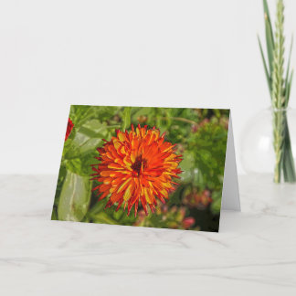 鮮やかなバースデー・カード カード