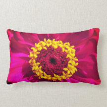 鮮やかなピンクおよび赤