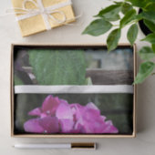 鮮やかなピンクのアジサイ 薄葉紙 (ギフト)