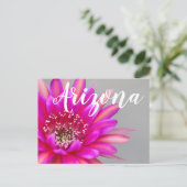 鮮やかなピンクのサボテンの花弁 アリゾナ州 ポストカード (スタンド正面)