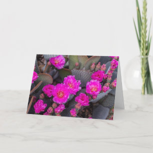 鮮やかなピンクのサボテンの花 あなたを想って オーダーメイド カード