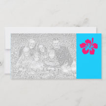 鮮やかなピンクのハイビスカス