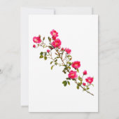 鮮やかなピンクのバラの枝 花と蕾 招待状 (裏面)