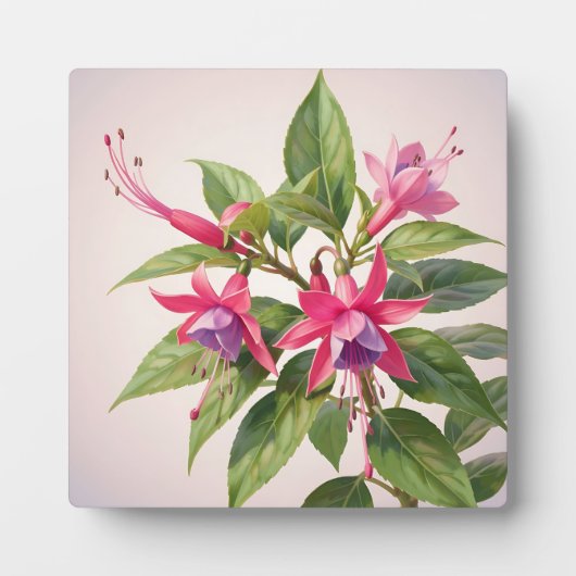 鮮やかなピンクのフクシアの花 フォトプラーク (正面)