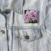 鮮やかなピンクのフロックスの植物画 缶バッジ (インサイチュ)