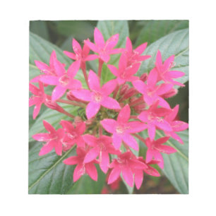 鮮やかなピンクの熱帯花メモ帳 ノートパッド