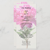 鮮やかなピンクの牡丹 プログラム (正面/裏面)