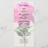 鮮やかなピンクの牡丹 プログラム (正面)