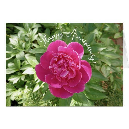 鮮やかなピンクの芍薬の花のアニバーサリーカード (正面横)