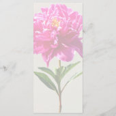 鮮やかなピンクの芍薬 メニュー (裏面)