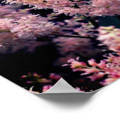 鮮やかなピンクの花が閉まる ポスター (角)