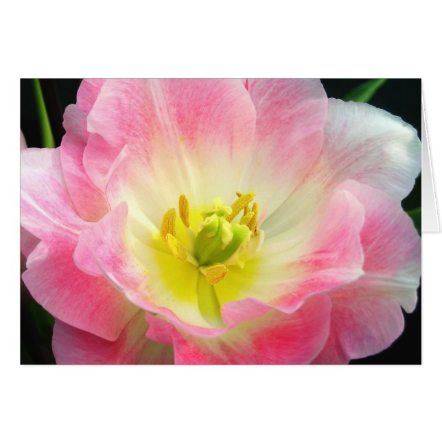 鮮やかなピンクの花びらカード (正面横)