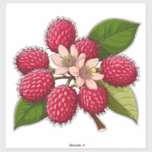 鮮やかなピンクの花を添えたランブータンの房