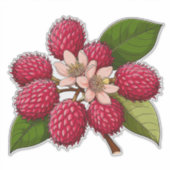 鮮やかなピンクの花を添えたランブータンの房 シール (正面)
