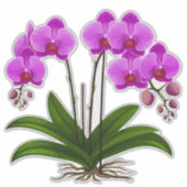 鮮やかなピンクの蘭の花と緑の葉の配置 シール (正面)