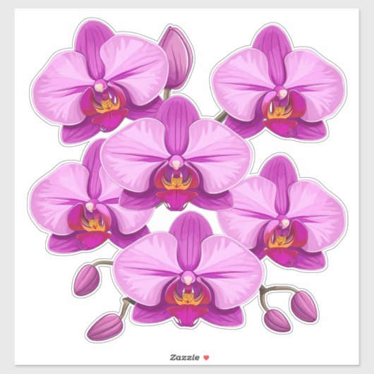 鮮やかなピンクの蘭の花の房 シール (シート)